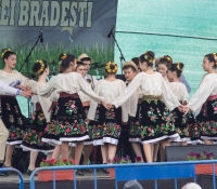 Zilele comunei Bradesti, mai 2014