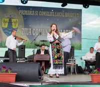 Zilele comunei Bradesti, mai 2014