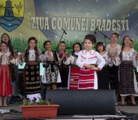 Zilele comunei Bradesti, mai 2014