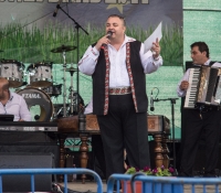 Zilele comunei Bradesti, mai 2014