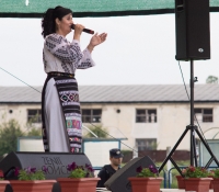 Zilele comunei Bradesti, mai 2014