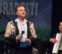 Zilele comunei Bradesti, mai 2014